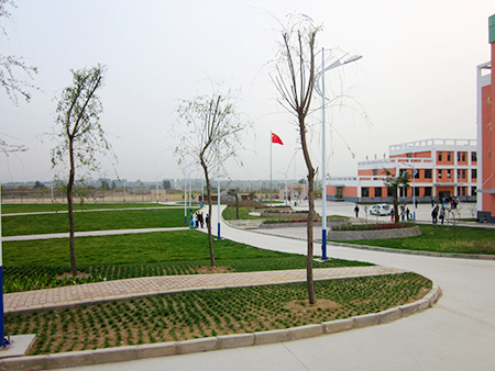 赞皇县第二中学绿化工程